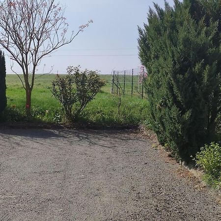 Saint-Seurin-de-Palenne Gite La Metairie, Au Calme A La Campagneヴィラ エクステリア 写真
